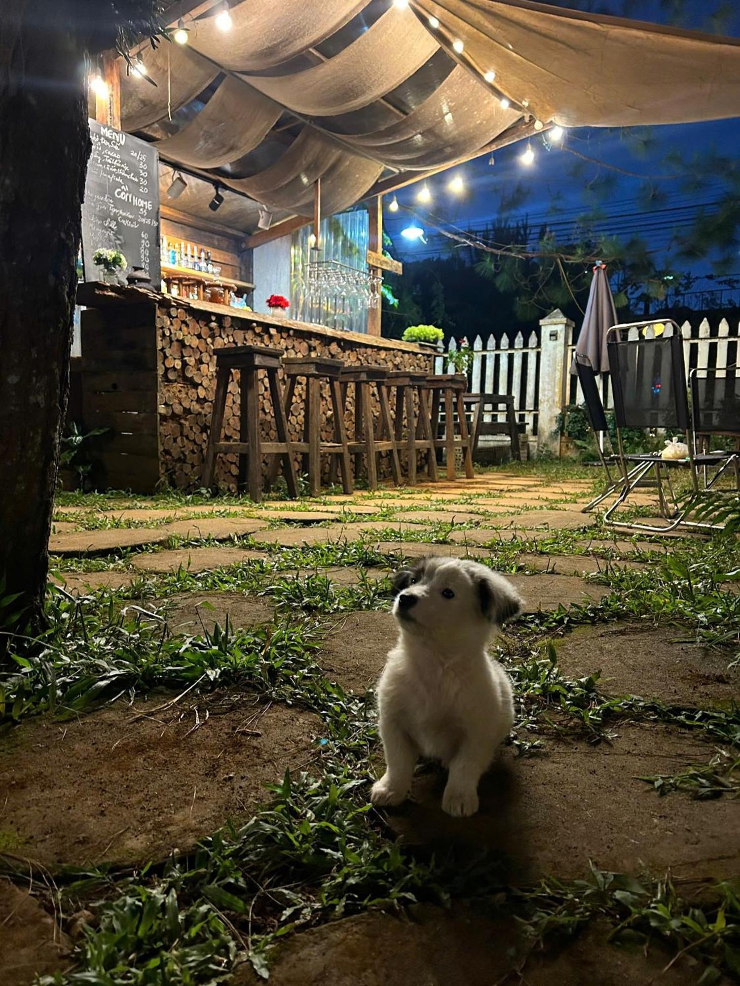 Chino Homestay Mang Den - Villa Tai Mang Den Kon Tum Buitenkant foto